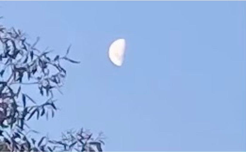 The Moon and a Cocoon