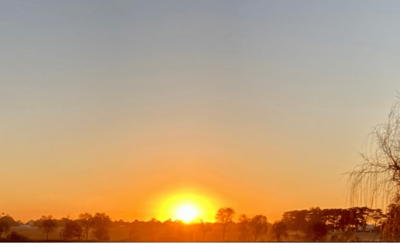 Throwback Friday, Every Ordinary&nbsp;Day