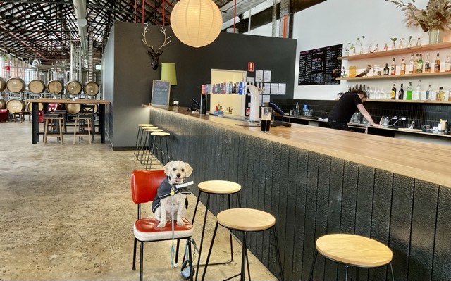 Our ‘Scouting Out’&nbsp;Expedition