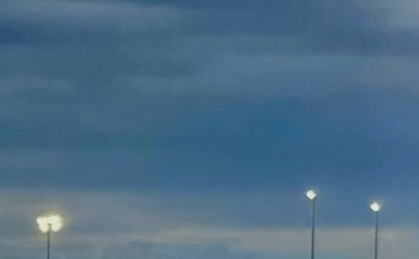 Hibernate? (a Tanka)