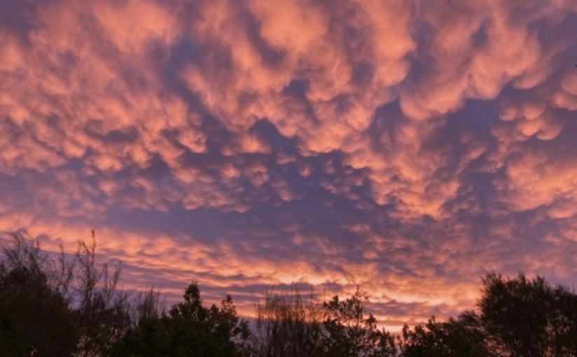 “Cosmic Typhoons and Tycoonds”, is in this week’s edition of Coffee House Writers&nbsp;Magazine.