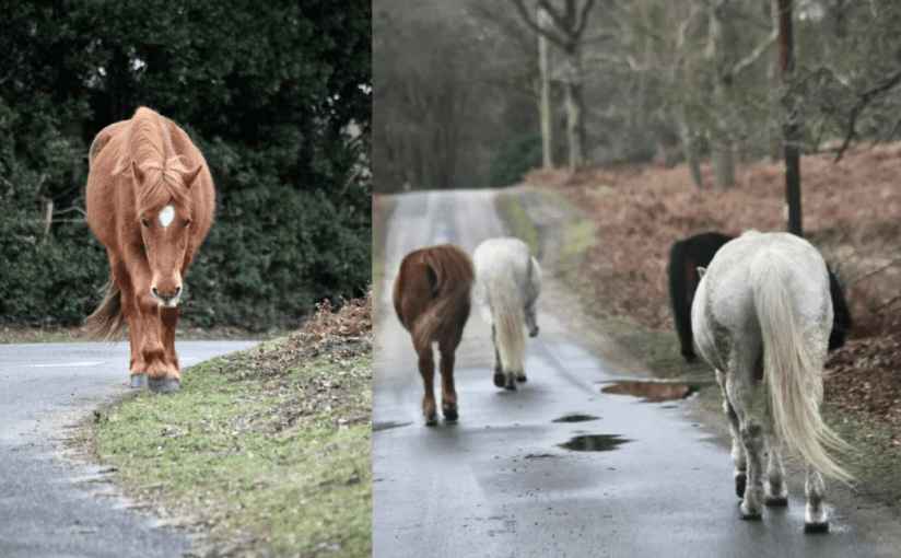 Throwback Friday, Arriving and Leaving, Visiting&nbsp;Her