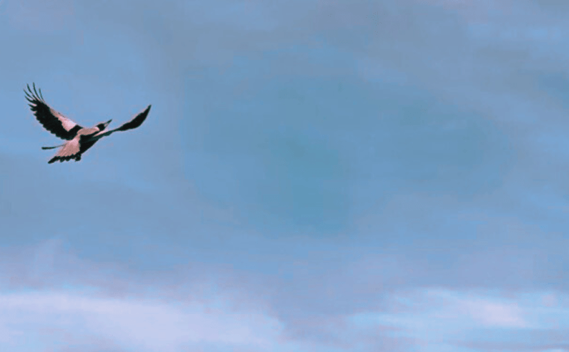 Pockets Full of&nbsp;Stone