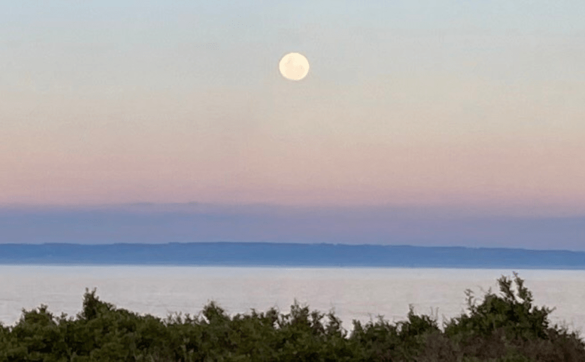 Moon Dog (a Haiku by&nbsp;Frankie)