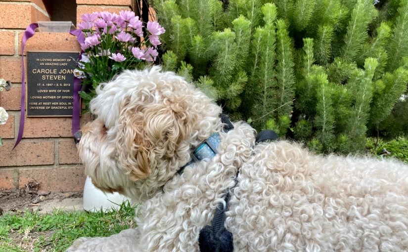 Throwback Friday, Whispering&nbsp;Flowers