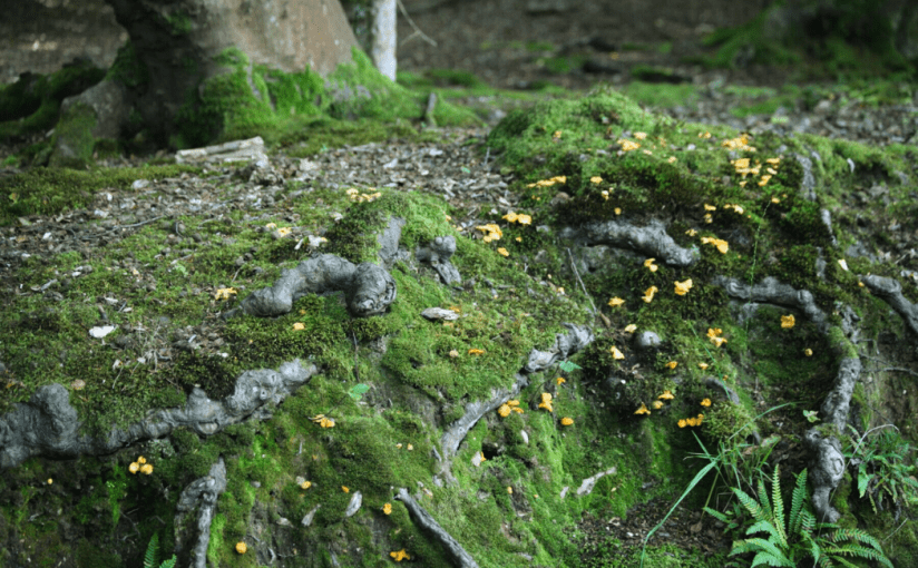 Living On Solid&nbsp;Ground