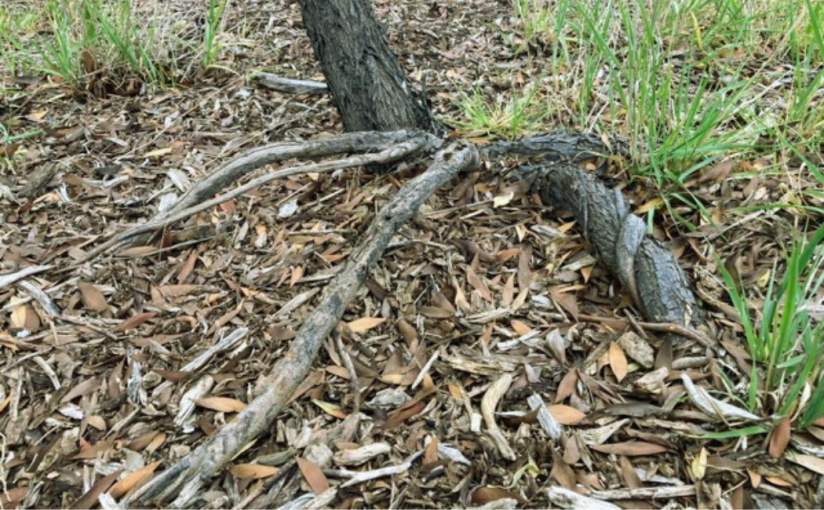 Not Perfect, But&nbsp;Valuable