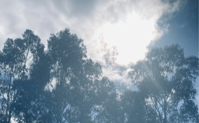 Looking Into the Mirror (a&nbsp;Tanka)