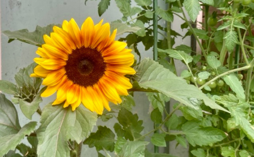 Again, Another Year Out Of&nbsp;Tune