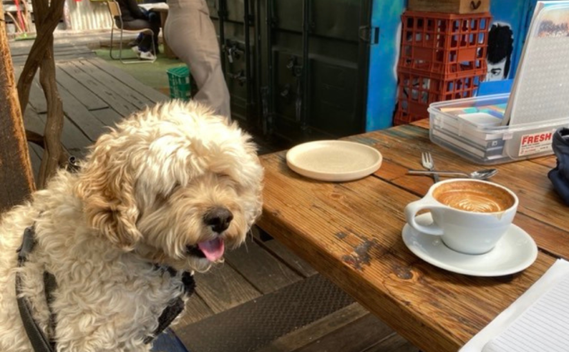 One Day at a Time/or, Is There&nbsp;Time?