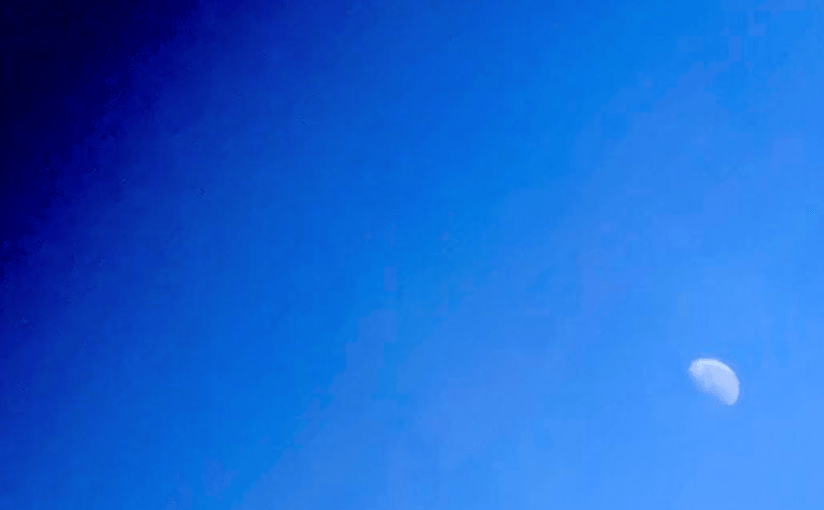 Handcuffs and Fisticuffs