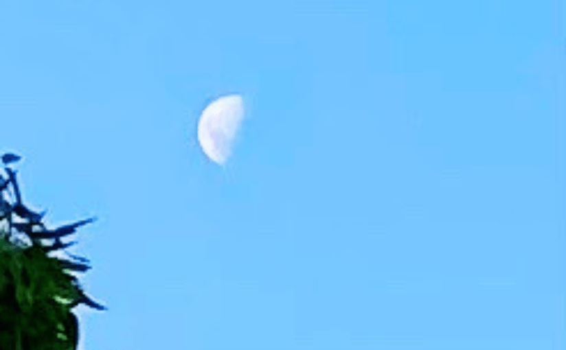 Don’t Blame the&nbsp;Moon