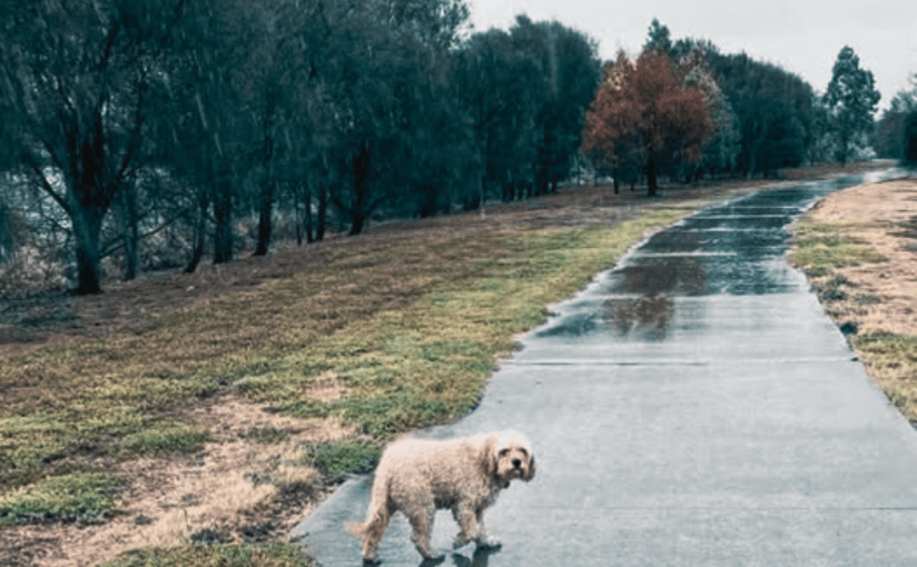 Walking in the Hard&nbsp;Rain