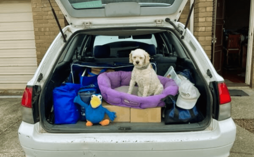 Clunes Booktown Festival&nbsp;2025