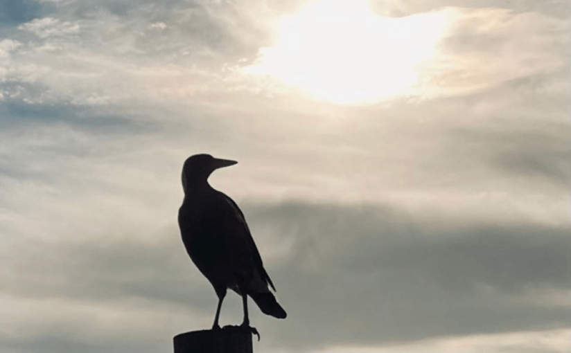 Statuettes and Silhouettes
