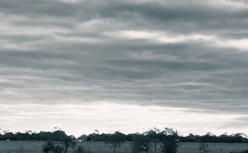 Do Snails Have&nbsp;Toes?