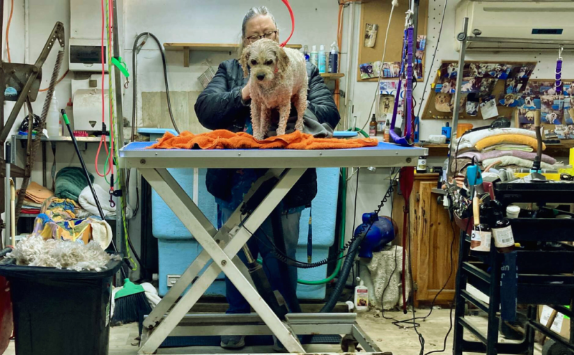 My Winter Haircut (a Haiku by&nbsp;Frankie)