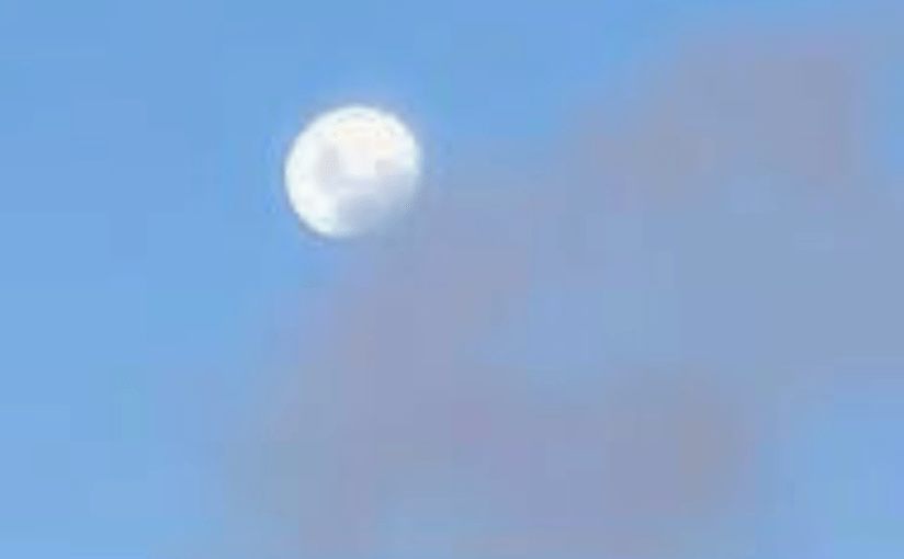 A Synchronized Dream