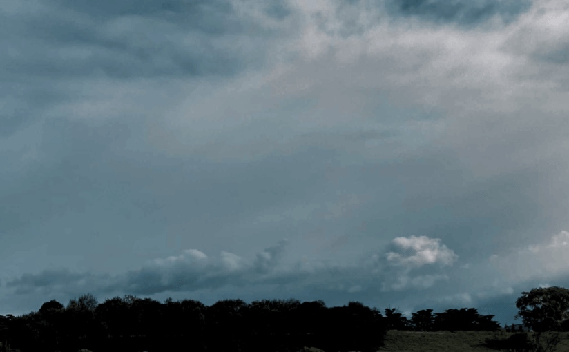 Throwback Friday, Five Shades of&nbsp;Grey