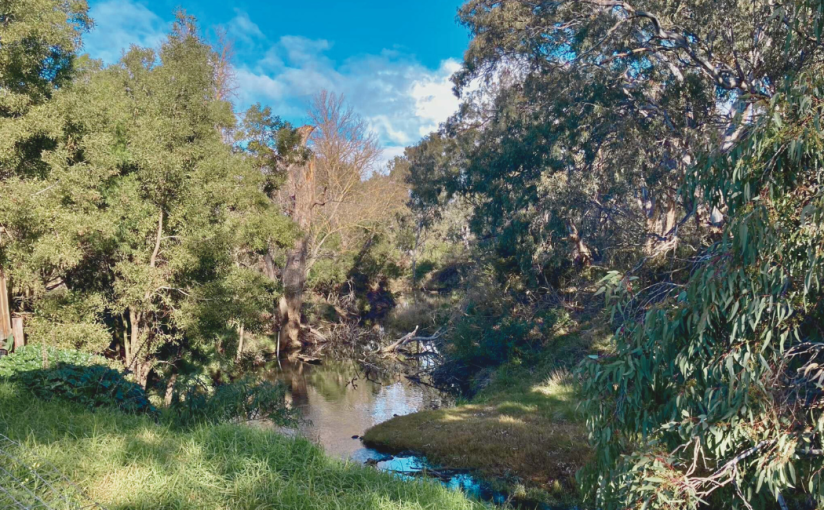 Let the Rivers Flow (a Combined&nbsp;Poem)