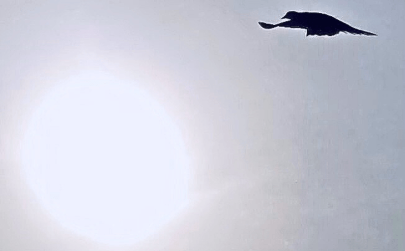 No Anchor, No Breaks, No&nbsp;Parachute!