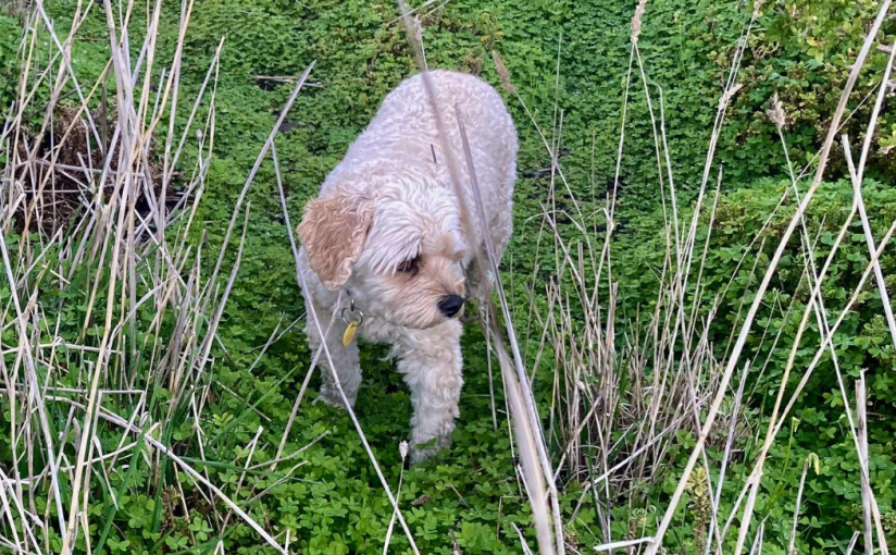 A Fire That Burns in the&nbsp;Cold