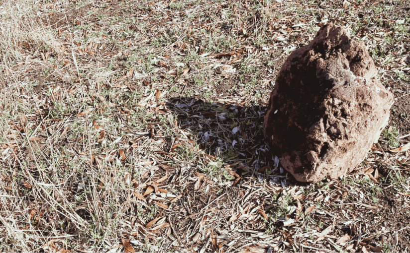 Not to be&nbsp;Misread