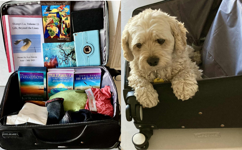 “Who’s the Pilot”, is in this week’s Coffee House Writers Magazine&nbsp;edition.