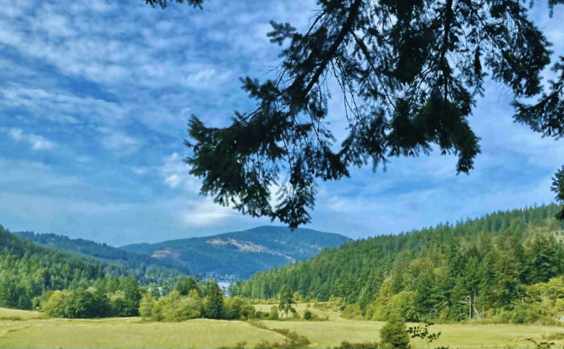 The Floating Homes of Genoa&nbsp;Cove