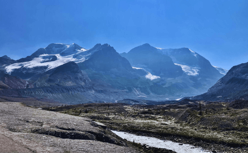 Throwback Friday, A Chalice of Champagne, by Ivor&nbsp;Steven