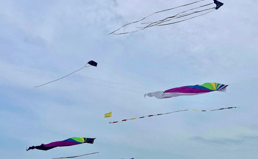 A Kite in&nbsp;Flight