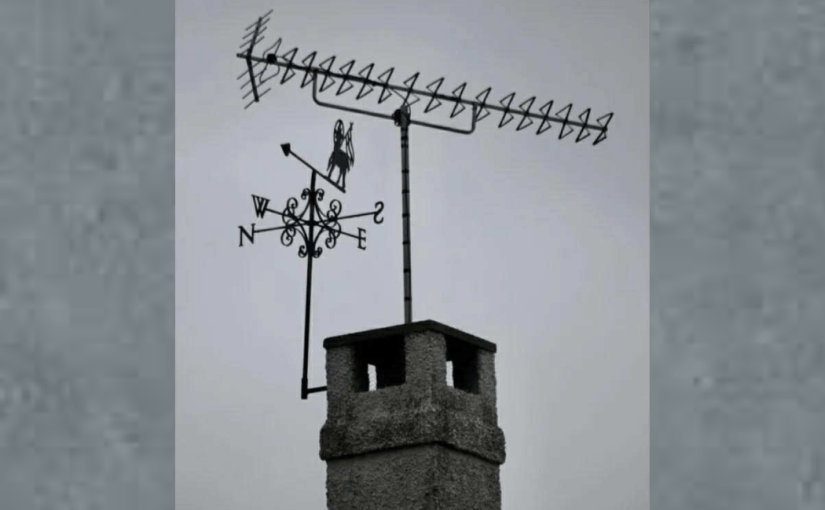 Vein, Vane, and&nbsp;Vain