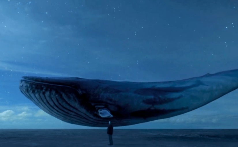 Throwback Friday, Blue Pastic&nbsp;Tripe