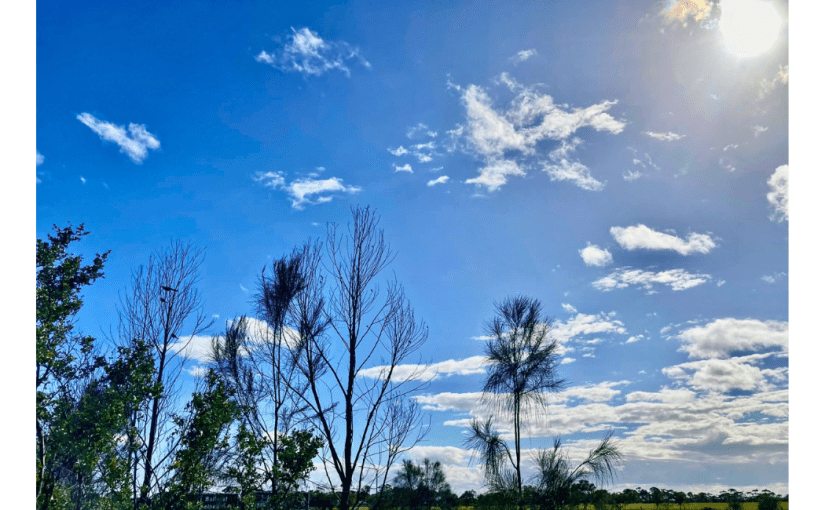 Throwback Friday, Winter&nbsp;Sun