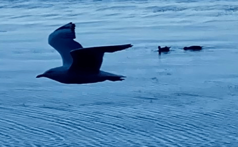 A Becalmed Right&nbsp;Hand