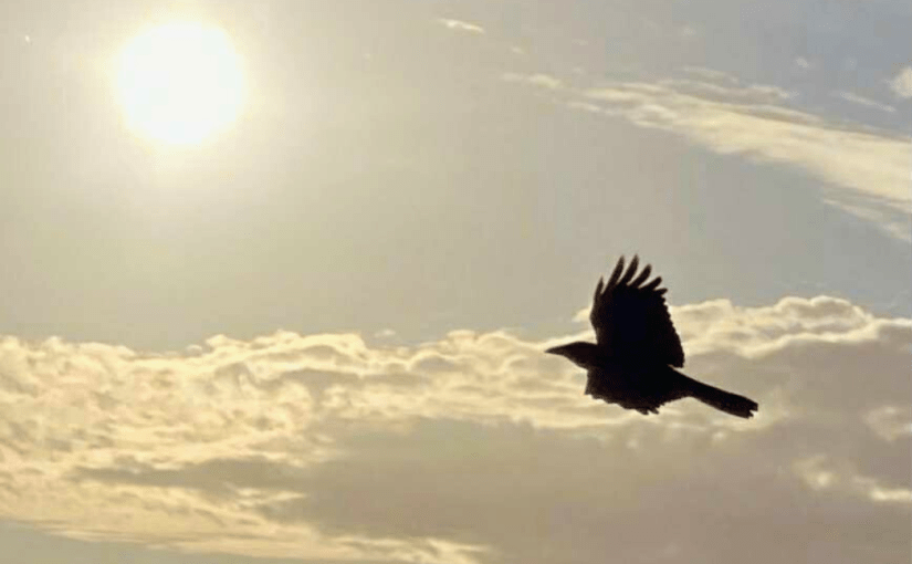 “Climbing the Stairs”, is in this week’s Coffee House Writers Magazine&nbsp;edition.