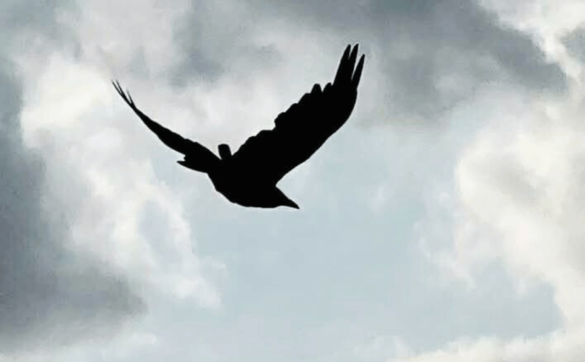 The Moon and the&nbsp;Tycoon