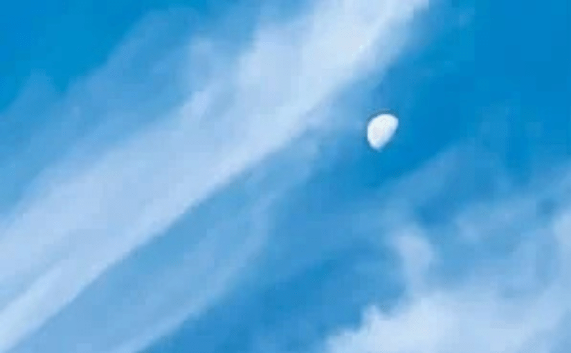 “Always Deck the Hallways”, is in this week’s Coffee House Writers Magazine&nbsp;edition.