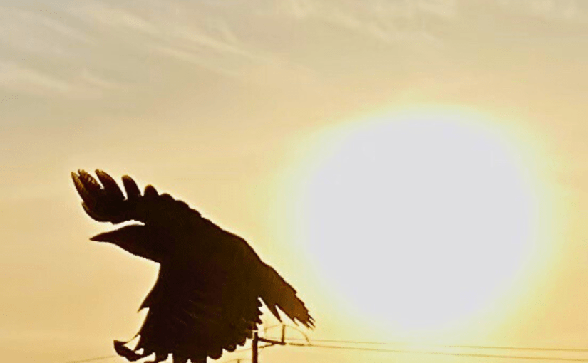 Golden Silhouettes (a&nbsp;Haiku)