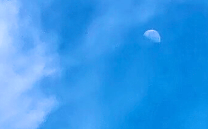 A Mid-morning Affair