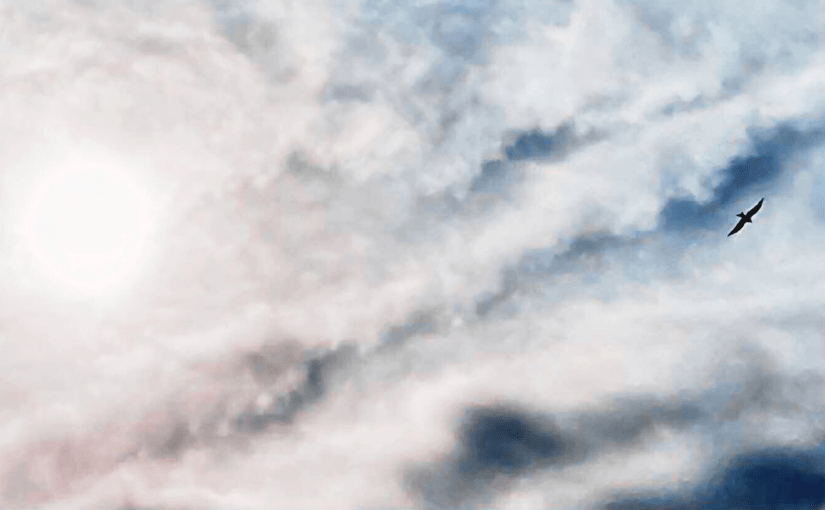 Throwback Friday, Beyond Sight (a&nbsp;Haiku)