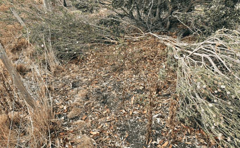 Yet to be&nbsp;Found