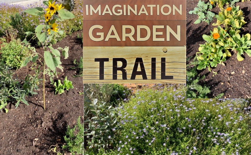 Throwback Friday, My Mind Meanders (a&nbsp;Tanka)