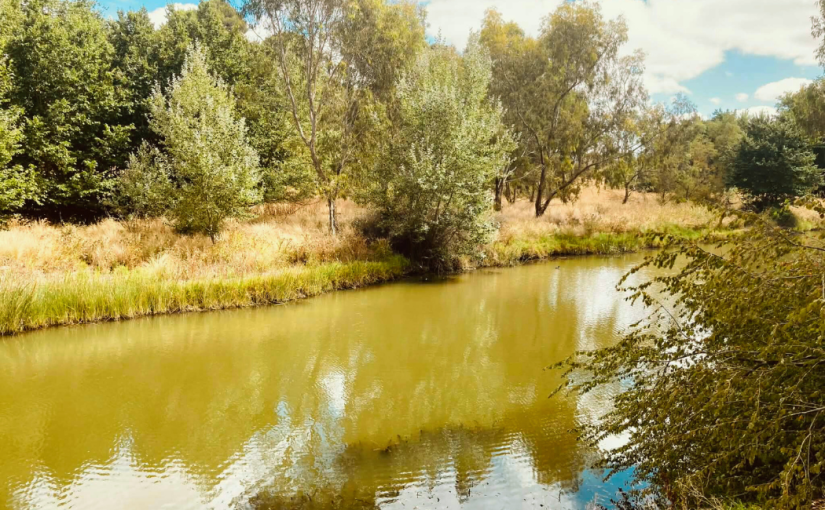 Wading in Dry&nbsp;Ice