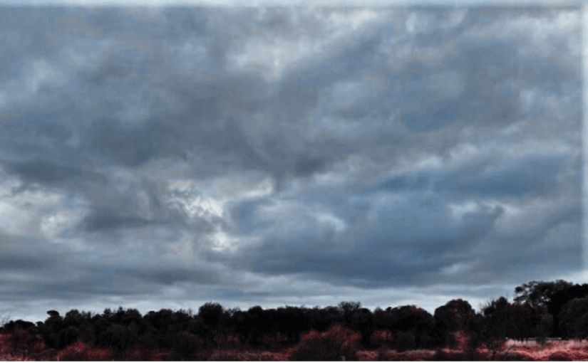 Throwback Friday, Sadness (a&nbsp;Senryu)