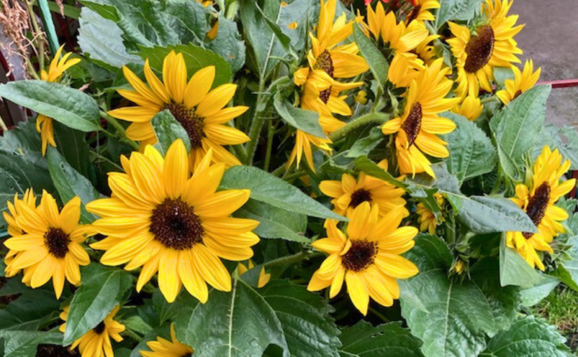 Throwback Friday, Down to the&nbsp;Valley