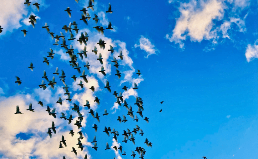 One of the&nbsp;Crowd