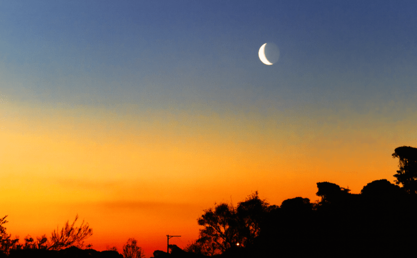 Shangri La, Volume 19, Leftover&nbsp;Heirlooms