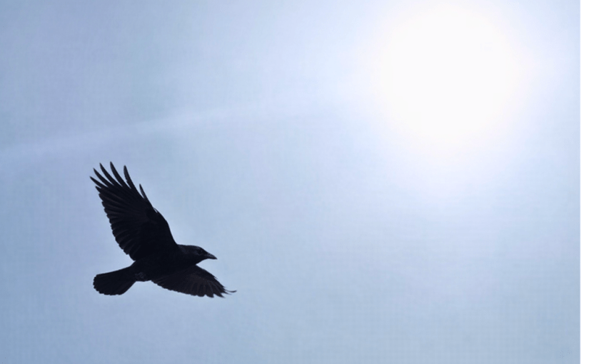 Not Good, But I’m Ok (a&nbsp;Tanka)