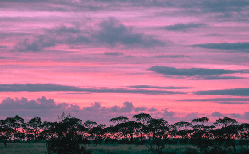 Beyond the Pink&nbsp;Horizon